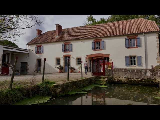 ⁣La farine du nouveau moulin de Sabathier à Conchez de Béarn