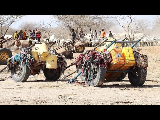 ⁣Conflict and Climate Change causes displacement of border communities