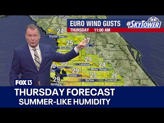 ⁣Tampa weather | Windy & humid