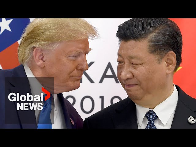 ⁣Xi congratulates Trump on election win as China calls for "mutual respect" with US