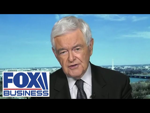 ⁣'REVOLUTIONARY': Newt Gingrich reveals what's coming next for Trump's GOP