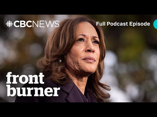 ⁣How the Democrats lost to Trump again | Front Burner