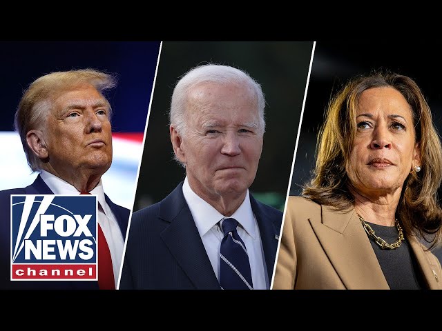 ⁣Dem who ran against Biden: This is the day the election was lost