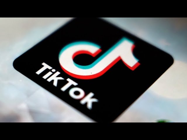 ⁣Expert 'doesn't understand the logic' behind Ottawa's order against TikTok