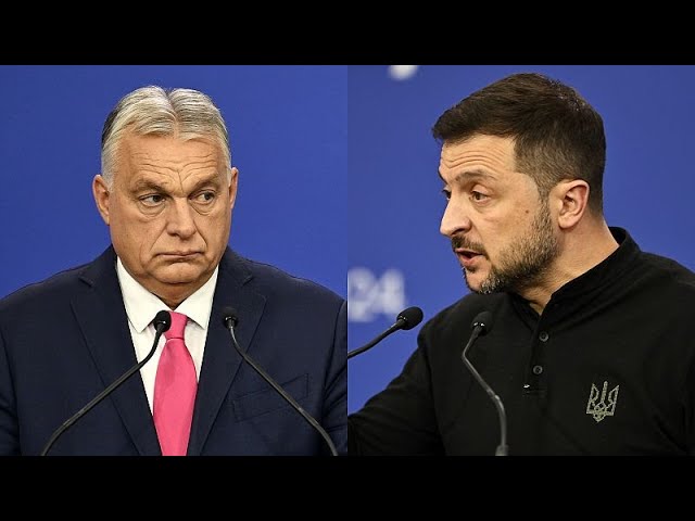 ⁣Orbán calls for quick ceasefire in Ukraine, prompting Zelenskyy's rebuke: 'Nonsense'