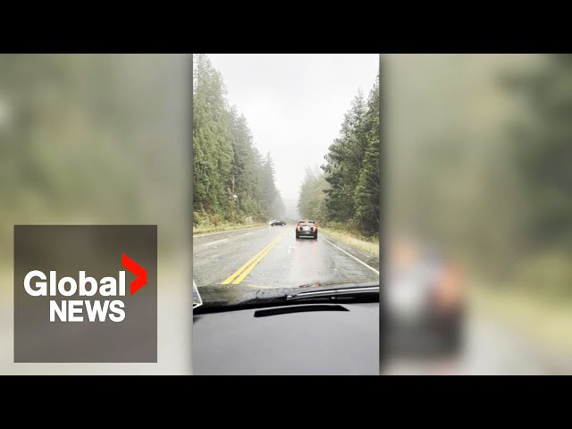 ⁣Woman comes face-to-face with tornado during BC windstorm: "I have to turn around!"