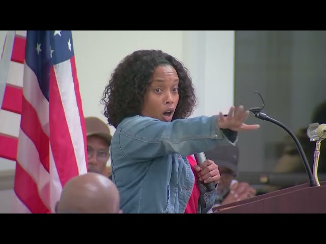 ⁣Fenia Dukes CONFRONTS Dolton trustee Andrew Holmes and Tiffany Henyard