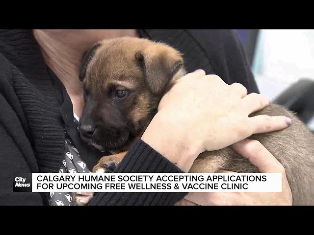 ⁣Calgary Humane Society accepting applications for upcoming free wellness & vaccine clinic