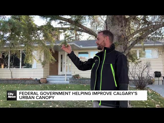 ⁣Federal government helping improve Calgary’s urban canopy