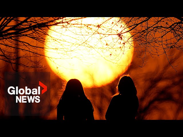 ⁣2024 will be hottest year on record: EU climate agency