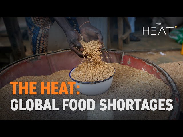 ⁣The Heat: Global Food Shortages