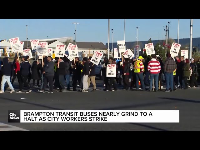 ⁣Brampton transit and many other key services impacted by city strike