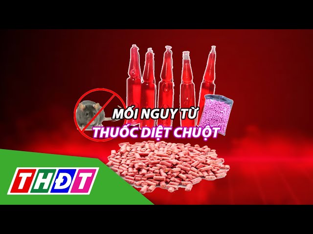 ⁣Mối nguy từ thuốc diệt chuột | THDT