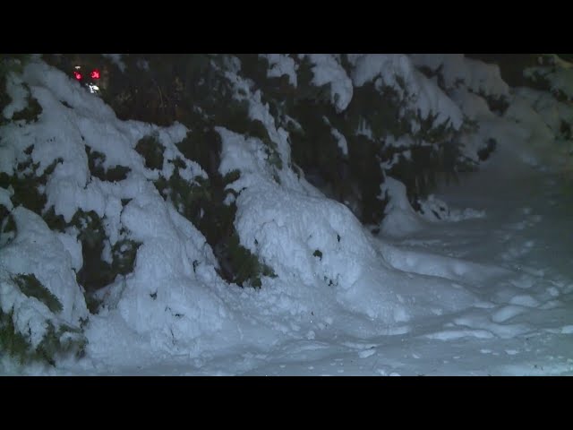 ⁣How to safely remove snow from tree branches