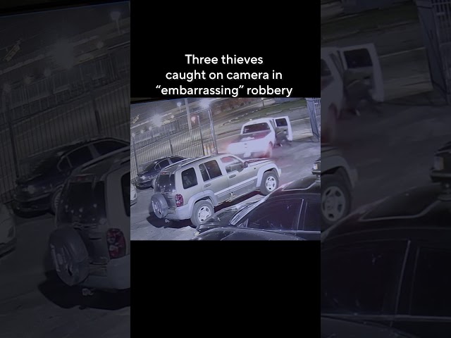 ⁣"Embarrassing" car theft goes wrong