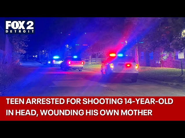 ⁣Teen arrested for shooting 14-year-old in head, wounding own mother in Detroit