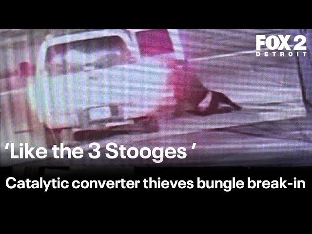 ⁣Bungling thieves are offered a job after trying to steal catalytic converters in Detroit lot