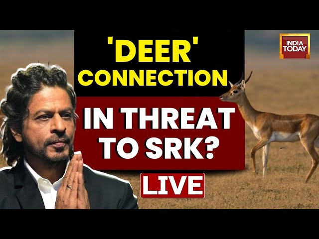 ⁣Shah Rukh Khan Death Threat linked to Salman Khan? What is 'Deer' connection in it? | Faiz