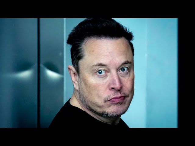 ⁣Elon Musk will make ‘a whole bunch of money’ from Donald Trump presidency