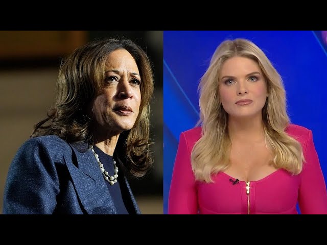 ⁣‘She’s a fraud’: Blistering assessment of Kamala Harris following election campaign