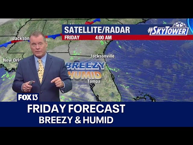 ⁣Tampa weather | Breezy & Humid