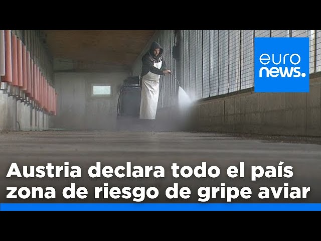 ⁣Austria declara todo el país zona de riesgo de gripe aviar tras un brote en Amstetten