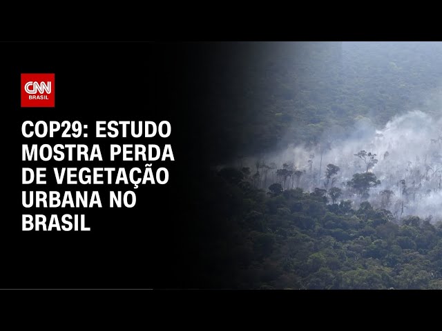 ⁣COP29: estudo mostra perda de vegetação urbana no Brasil  | CNN NOVO DIA