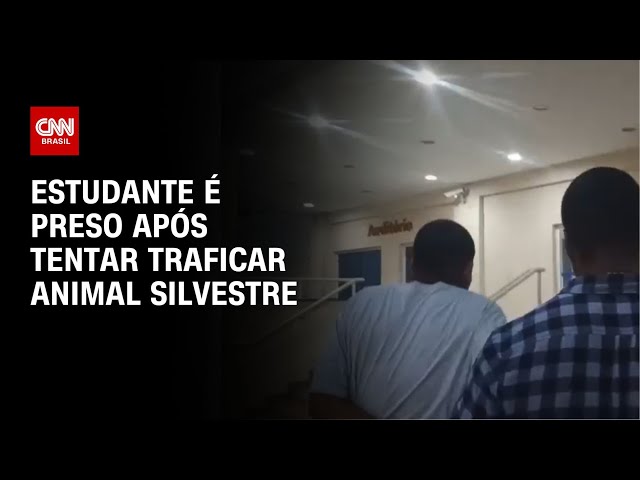 ⁣Estudante é preso após tentar traficar animal silvestre | LIVE CNN