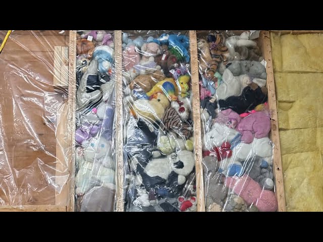 ⁣115 stuffed animals found hidden behind wall during renos now being donated around world