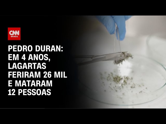 ⁣Pedro Duran: Em 4 anos, lagartas feriram 26 mil e mataram 12 pessoas | LIVE CNN