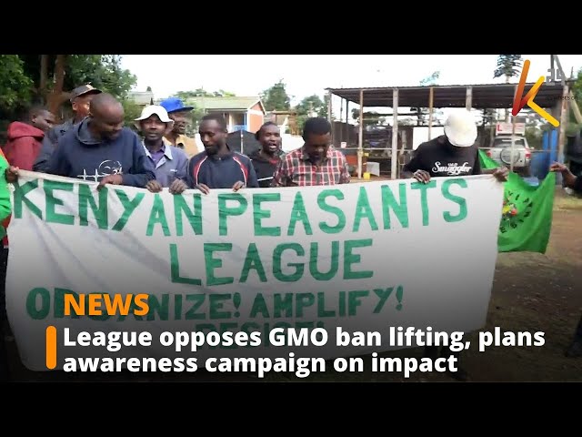 ⁣Kenya Peasants League opposes GMO ban lifting, plans awareness campaign on impact