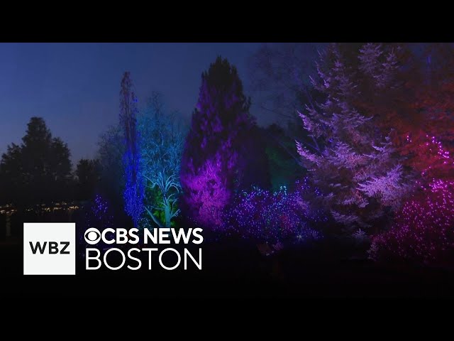 ⁣Night Lights return to New England Botanic Garden for holiday season