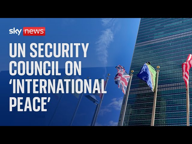 ⁣Watch live:  UN Security Council convenes for a briefing on 'international peace'