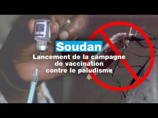 ⁣Le Soudan lance sa campagne de vaccination contre le paludisme • FRANCE 24