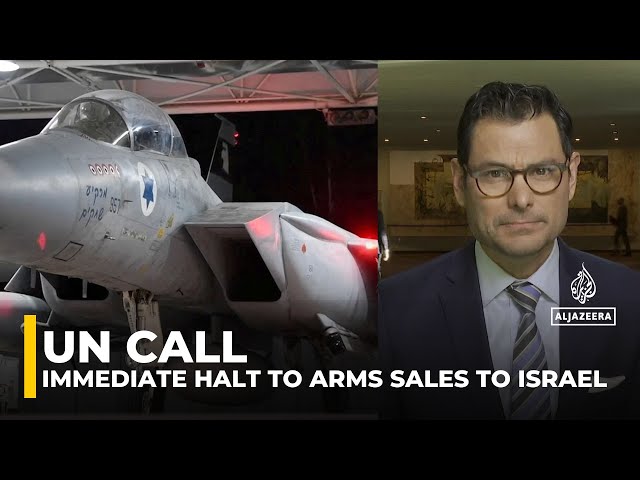 ⁣52 countries at the UN co-sign a letter: Calling for an immediate halt to arms sales to Israel