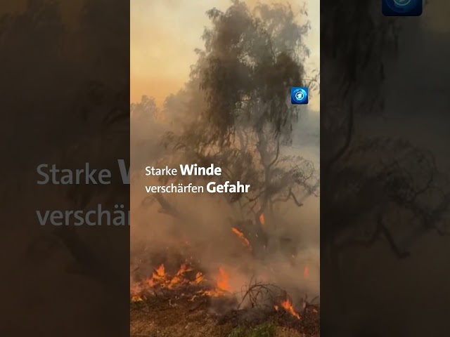 ⁣„Mountain Fire“ über Nacht stark gewachsen