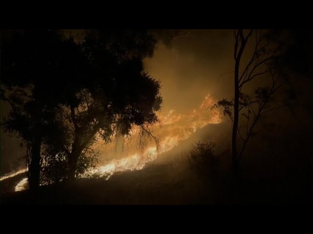 ⁣Massive Mountain fire in California, Trump White House team taking shape, more | CBS News 24/7