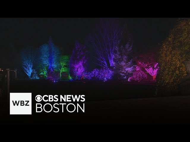 ⁣"Night Lights" holiday lights return to New England Botanic Garden at Tower Hill