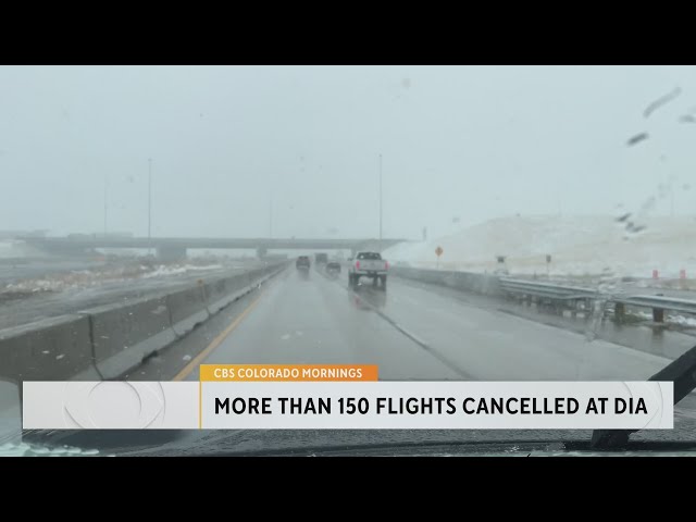 ⁣Massive Snowstorm cancels, delays flights at DIA