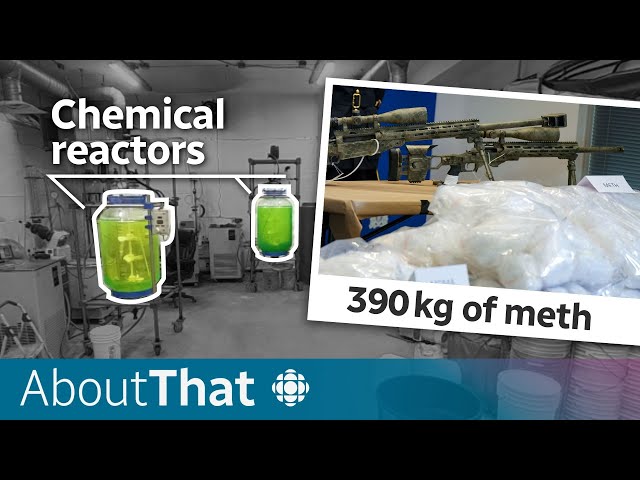 ⁣Inside the ‘most sophisticated’ drug lab in Canadian history | About That