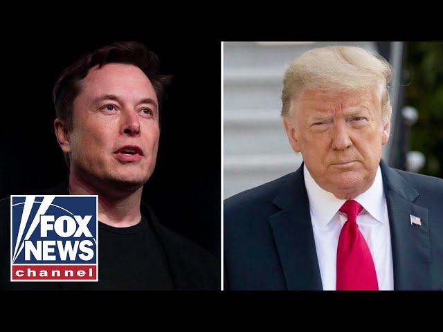 ⁣Elon Musk joined call between Trump and Zelenskyy, Fox confirms