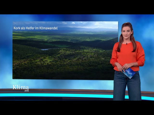 ⁣Kork - Naturprodukt als Hilfe im Klimawandel | KlimaZeit