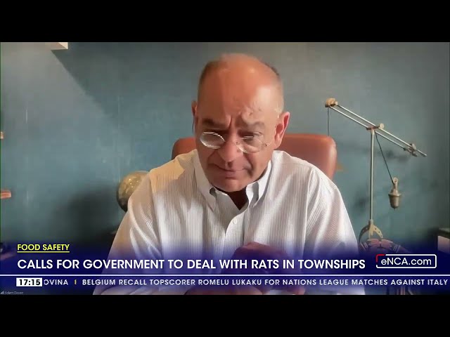 ⁣Calls for government to deal with rats in townships