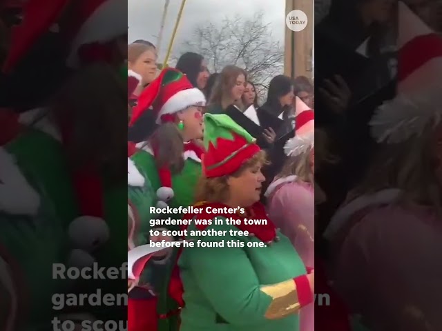 ⁣Rockefeller Center tree en route to New York