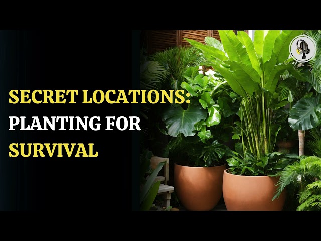 ⁣Secret Locations: Planting For Survival | WION Podcast