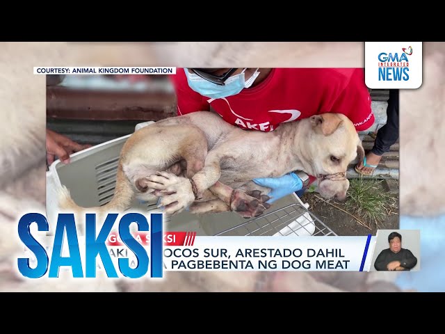 ⁣Lalaki sa Ilocos Sur, arestado dahil sa ilegal na pagbebenta ng dog meat | Saksi