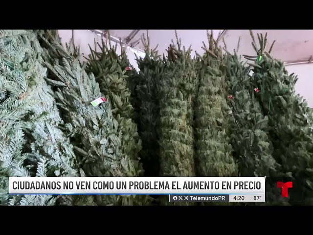 ⁣Prepárate para pagar más por el arbolito de Navidad