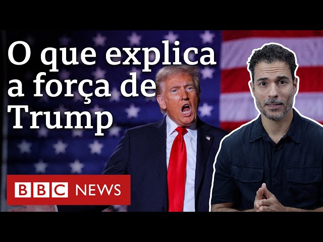 ⁣Trump eleito: as razões que explicam o forte desempenho em distintos segmentos nos EUA