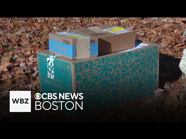 ⁣Delivery driver dumps packages on roads in Duxbury, Kingston