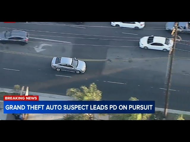 ⁣FULL CHASE: Authorities chasing grand theft auto suspect through South Los Angeles area